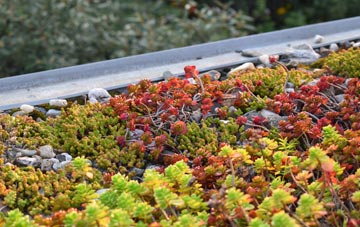 the cost of Doune green roof installation