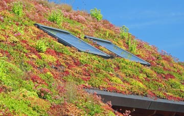 Doune living roof systems