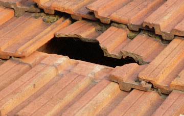 roof repair Doune